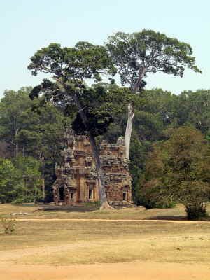 Blick von Elefant-Terrace