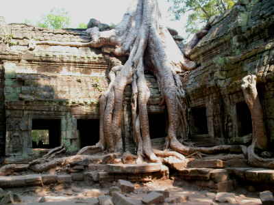 Tempel und Drehort Lara Croft (Tomb Rider)