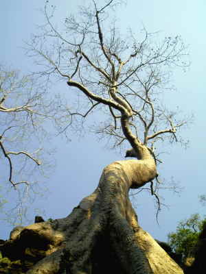 Tempel und Drehort Lara Croft (Tomb Rider)