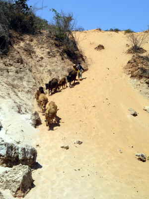 Wanderung durch Bach in Mui Ne