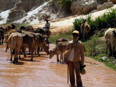 Wanderung durch Bach in Mui Ne