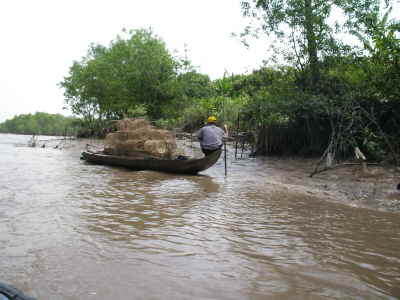 im Mekongdelta