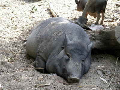 Minority-Village am Lak See