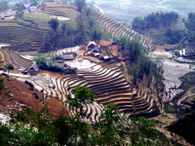 Trekking Tour Sapa