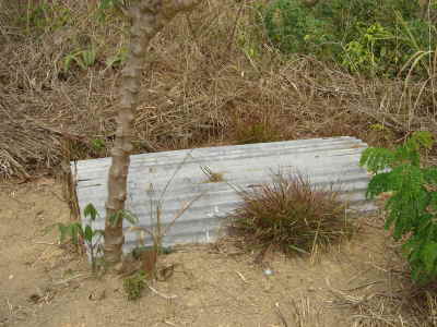 Grab Minority People